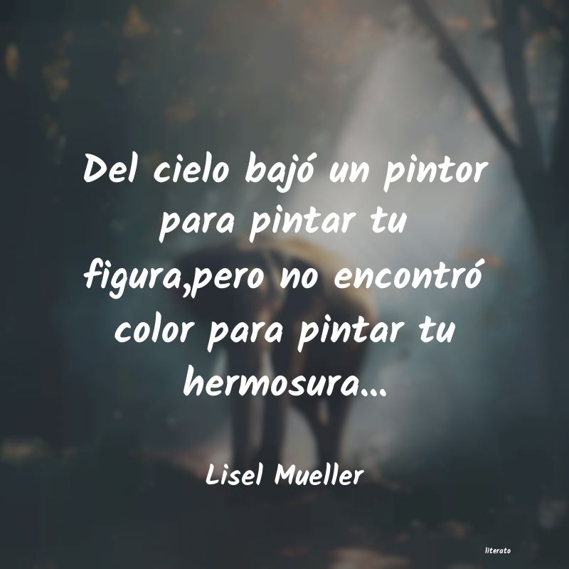 Frases de Lisel Mueller