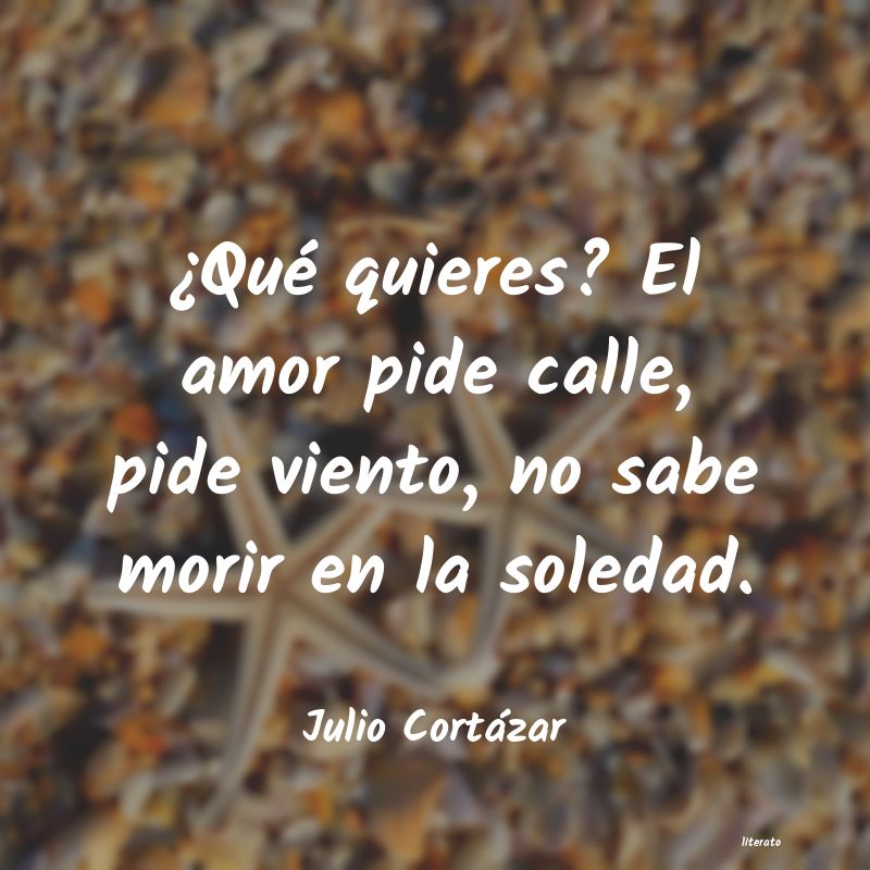 frases de Julio Cortázar