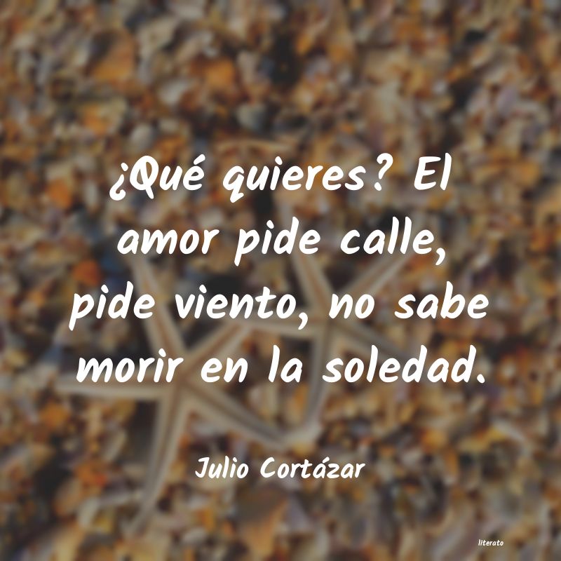 Frases de Julio Cortázar