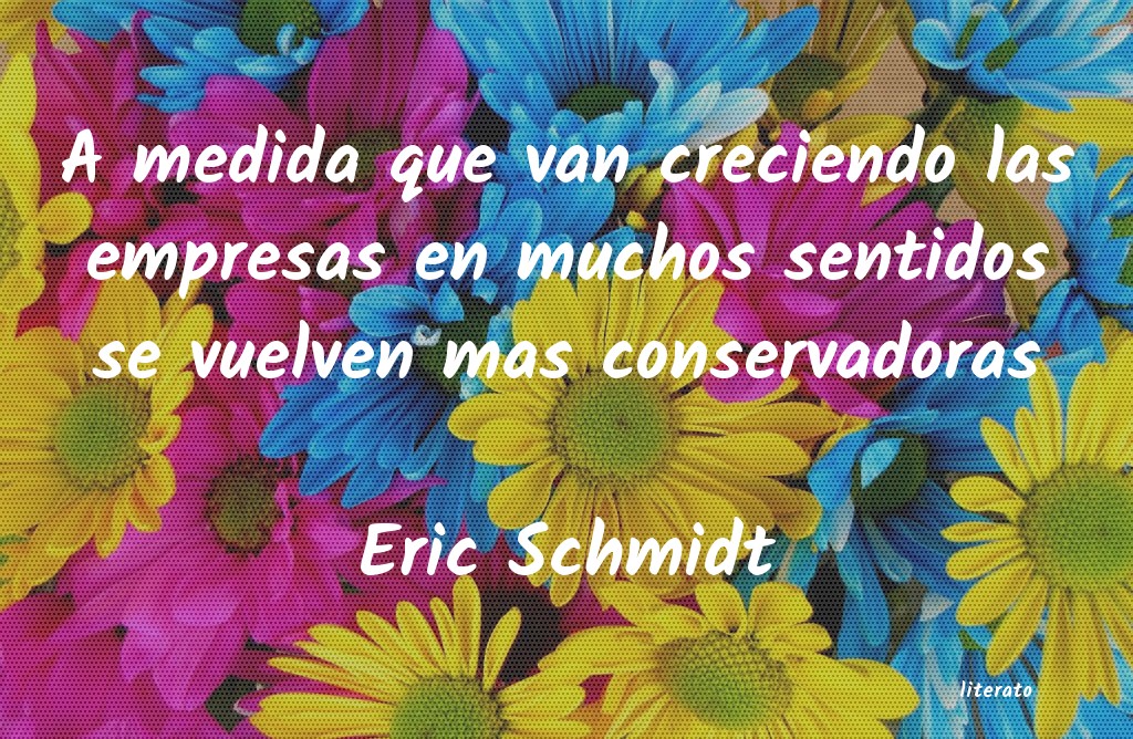 Frases de Eric Schmidt