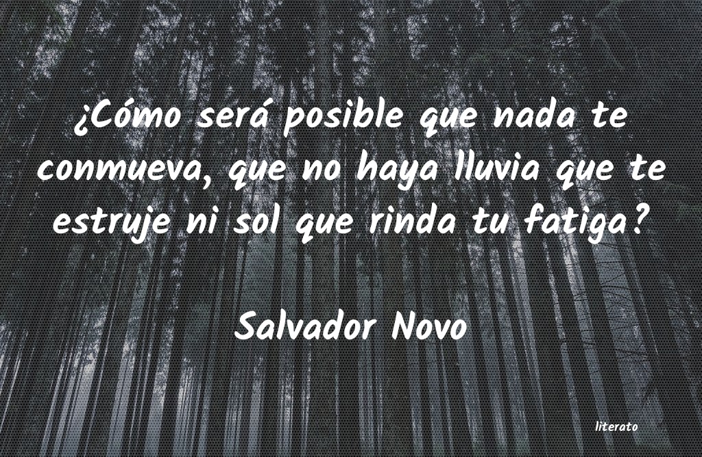 frases de Salvador Novo