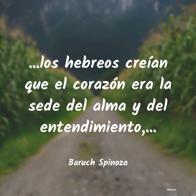 Frases de Baruch Spinoza