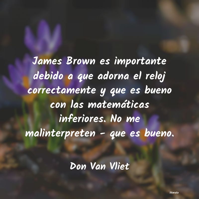 Frases de Don Van Vliet