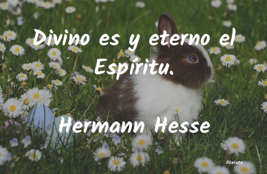 Frases de Hermann Hesse