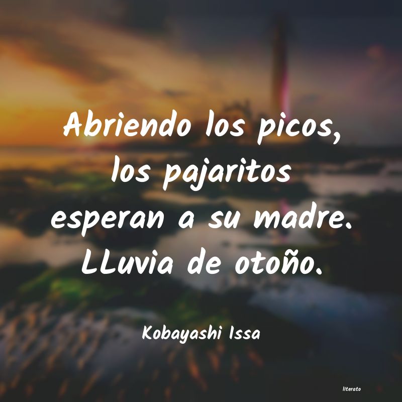 frases de Kobayashi Issa