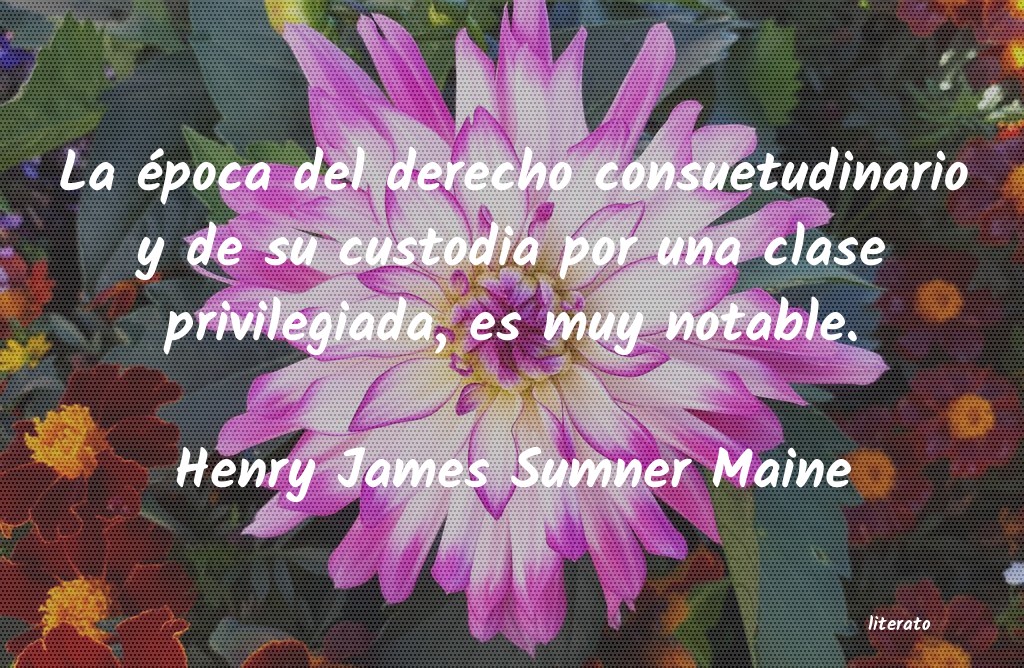 frases de Henry James Sumner Maine