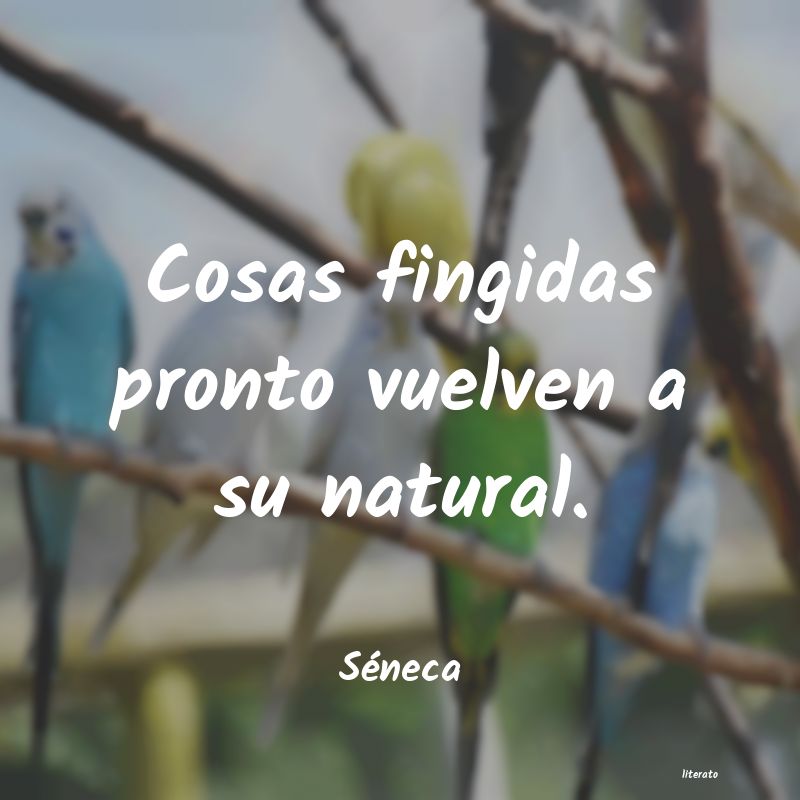 Frases de Séneca