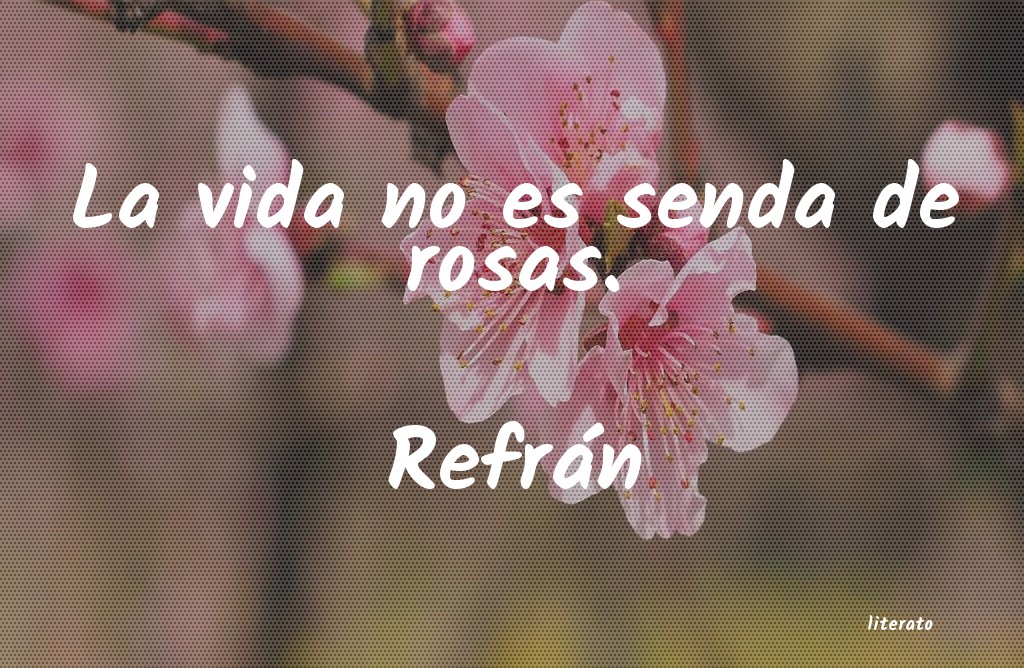 Frases de Refrán