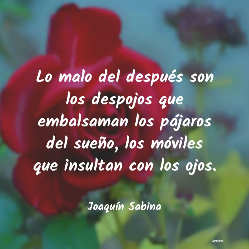 frases de JoaquÃn Sabina