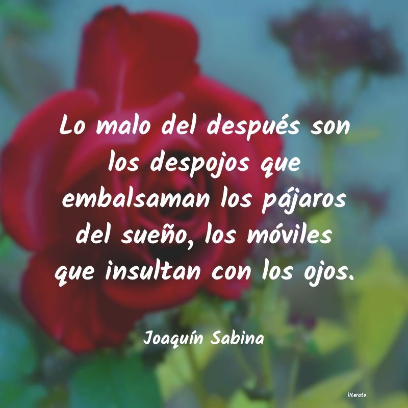 Frases de Joaquín Sabina