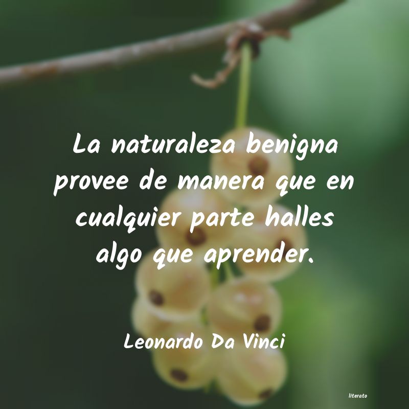 Frases de Leonardo Da Vinci