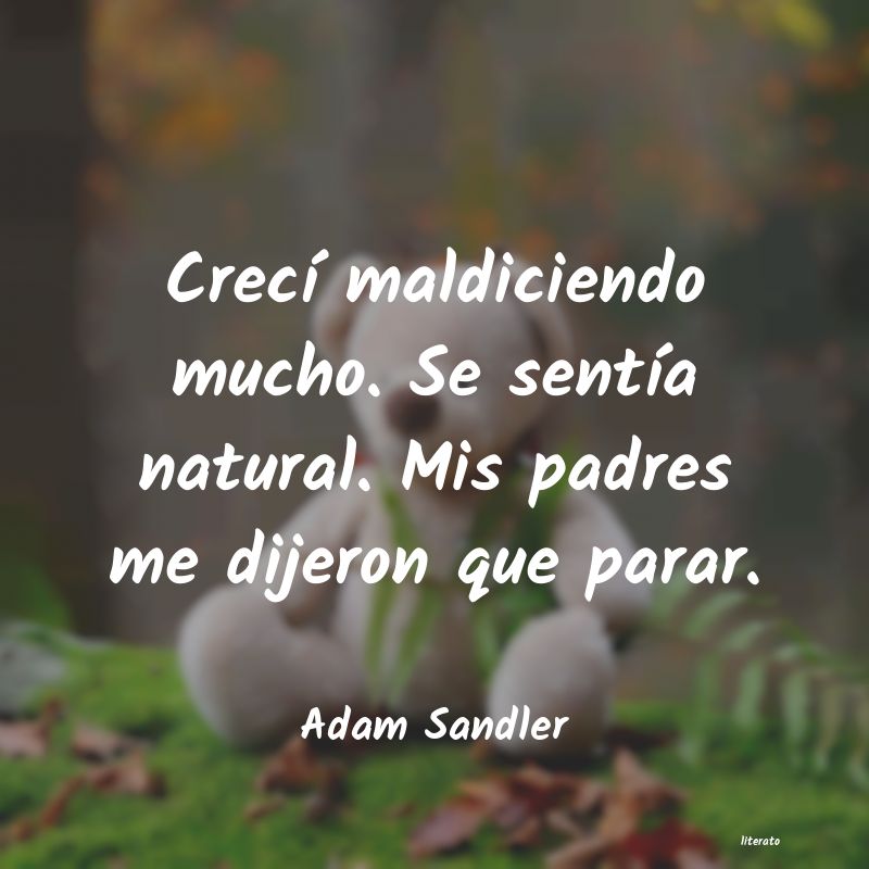 Frases de Adam Sandler