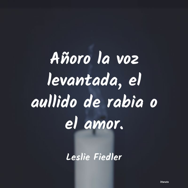 frases de Leslie Fiedler