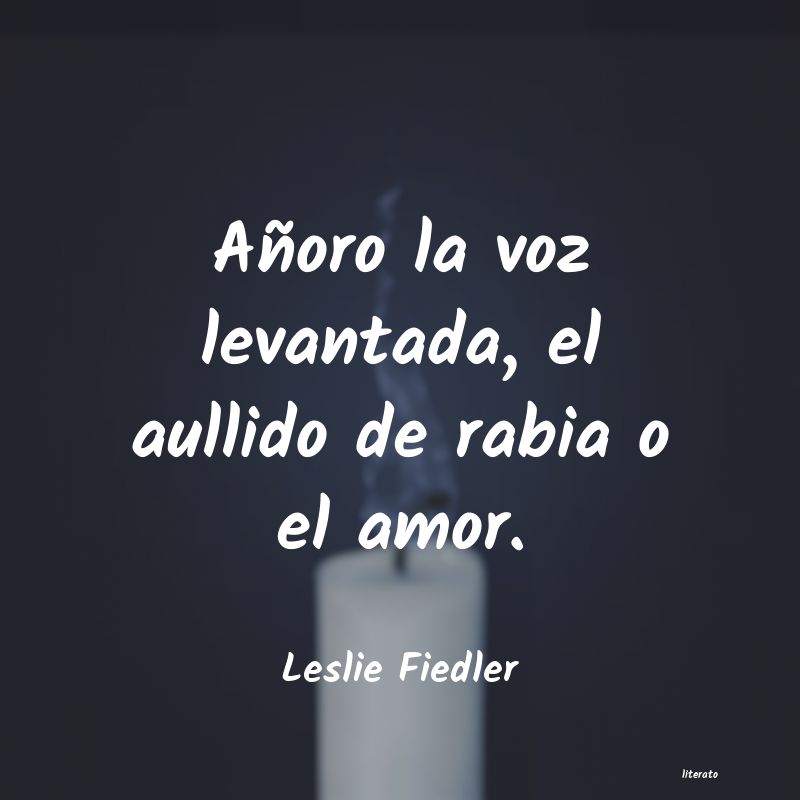 Frases de Leslie Fiedler