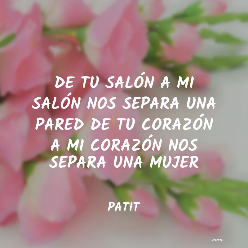 Frases de PATIT