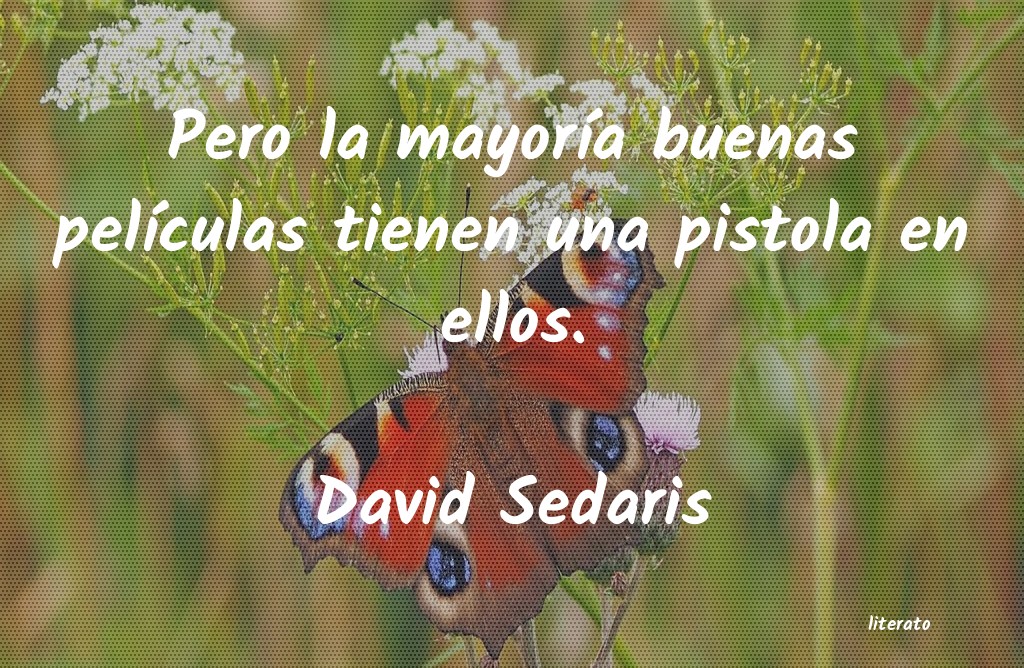 Frases de David Sedaris