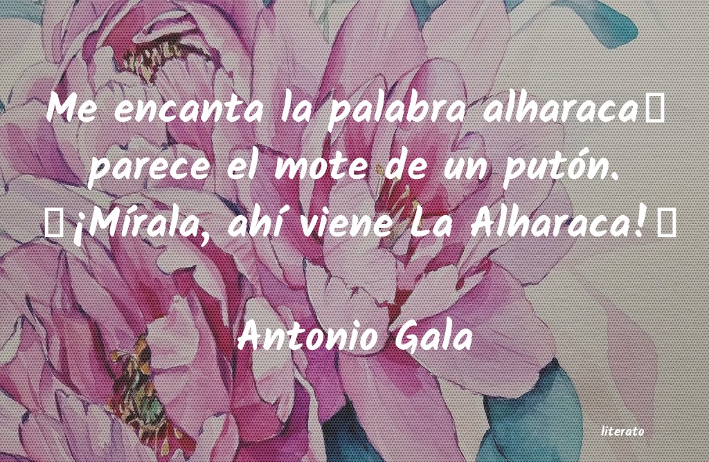 frases de Antonio Gala