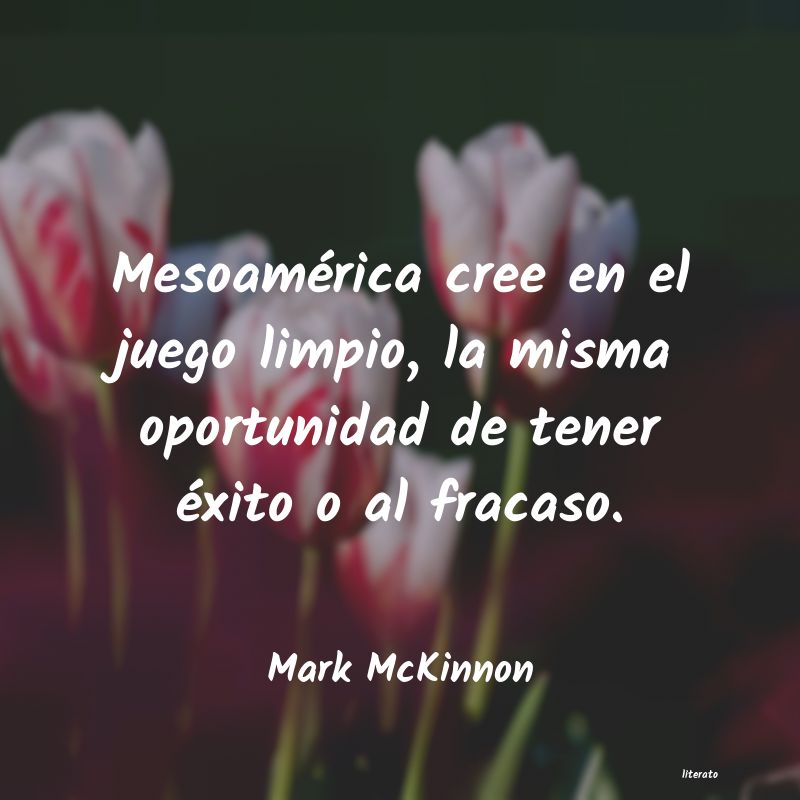 Frases de Mark McKinnon