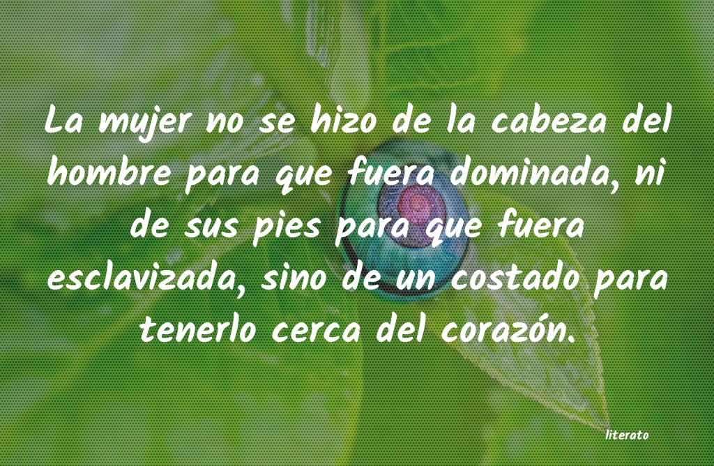 frases