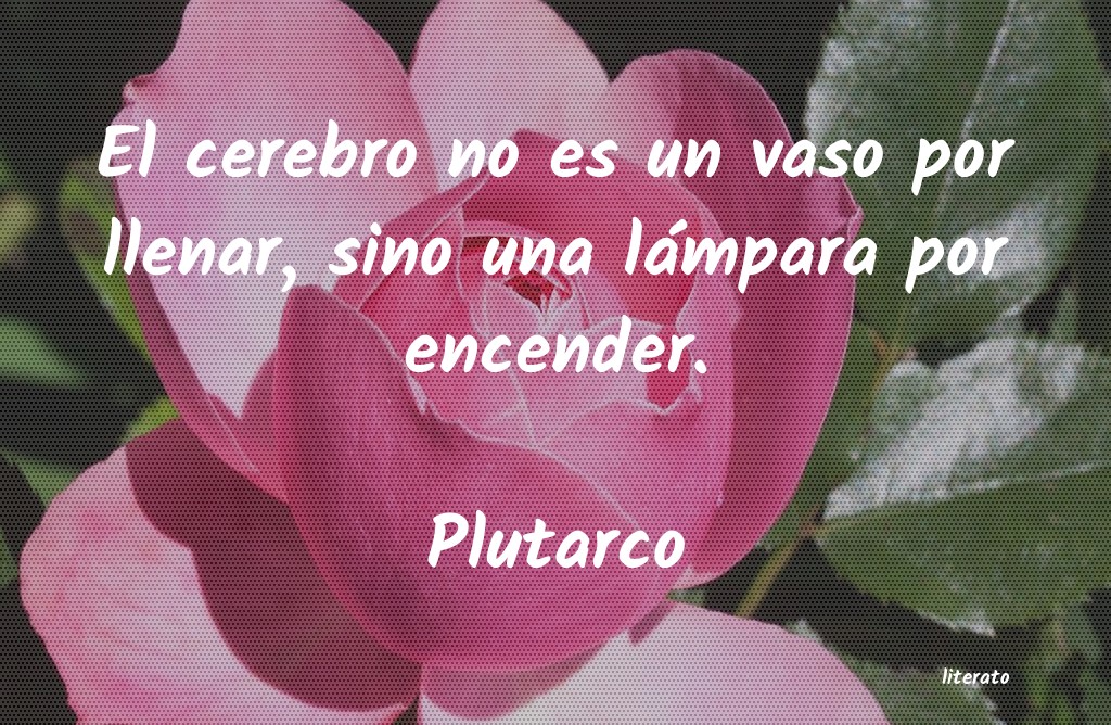 Frases de Plutarco