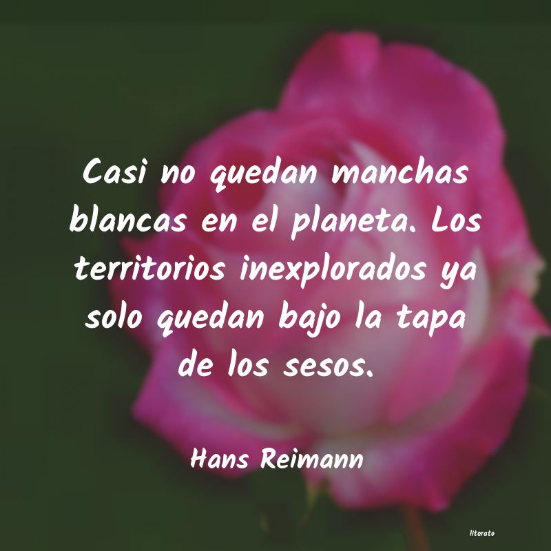 Frases de Hans Reimann