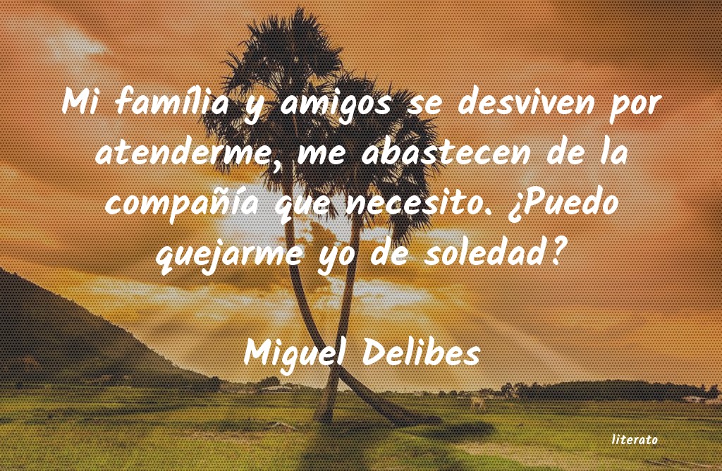 frases de Miguel Delibes