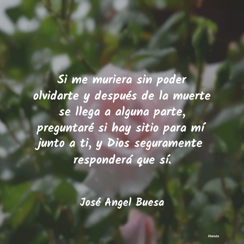 Frases de José Angel Buesa