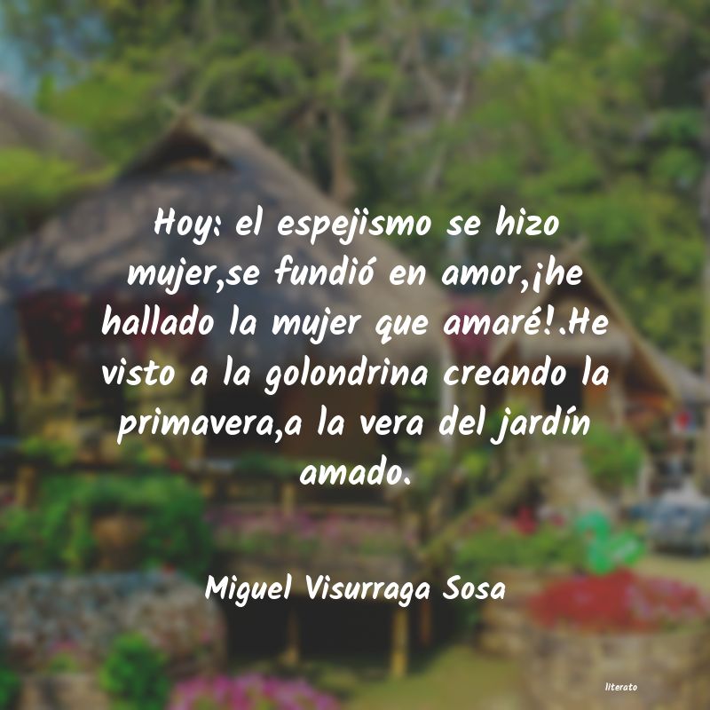 Frases de Miguel Visurraga Sosa