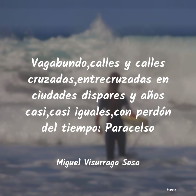 Frases de Miguel Visurraga Sosa