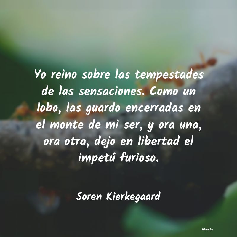 Frases de Soren Kierkegaard