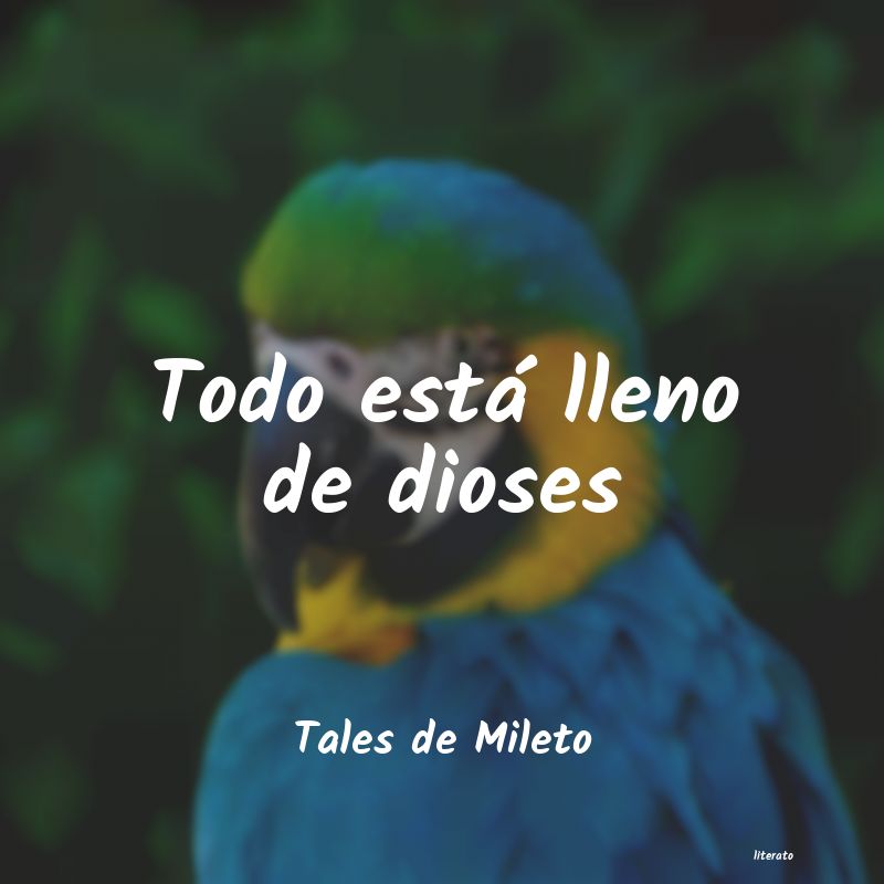 frases de Tales de Mileto