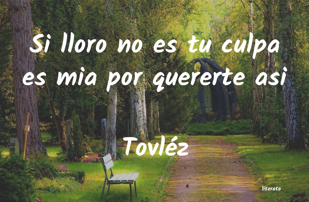 frases de Tovléz