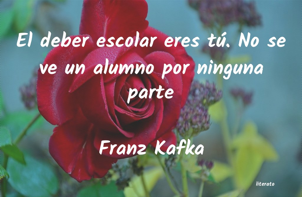 Frases de Franz Kafka