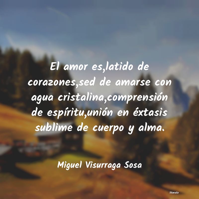 frases de Miguel Visurraga Sosa