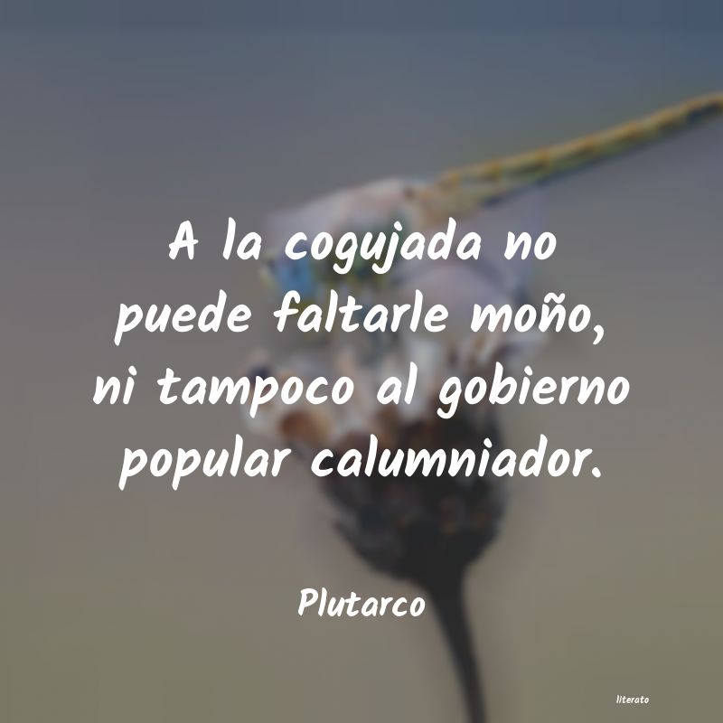 Frases de Plutarco