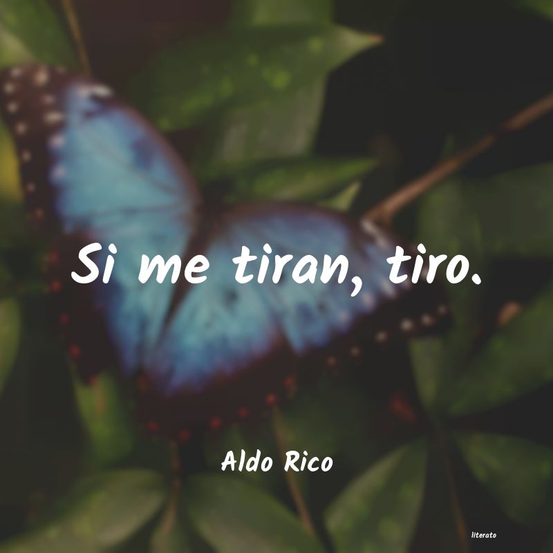 Frases de Aldo Rico