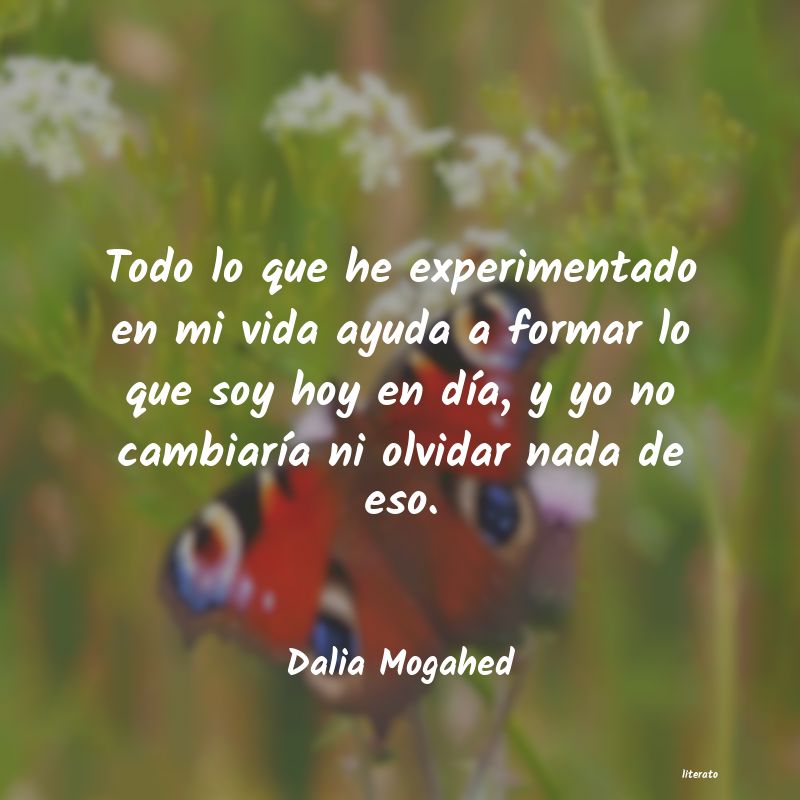 Frases de Dalia Mogahed