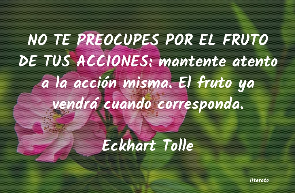 Frases de Eckhart Tolle