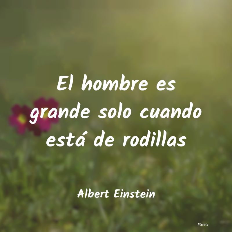 Frases de Albert Einstein