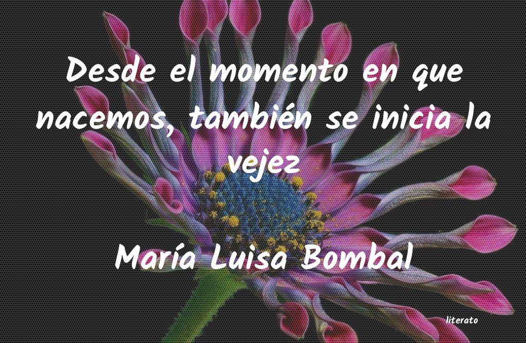 Frases de María Luisa Bombal