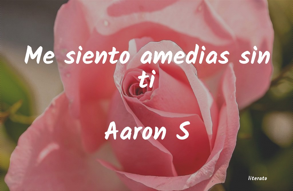 Frases de Aaron S