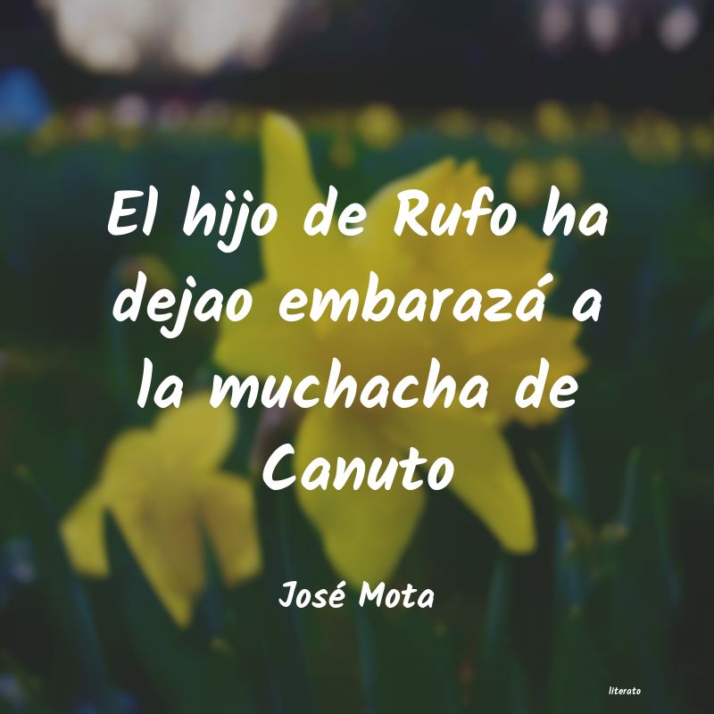 Frases de José Mota