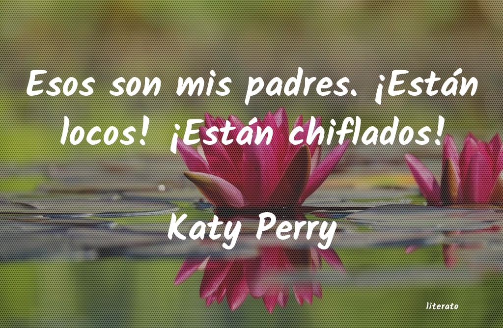 frases de Katy Perry