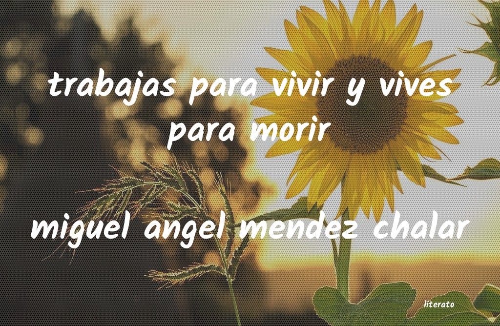 Frases de miguel angel mendez chalar