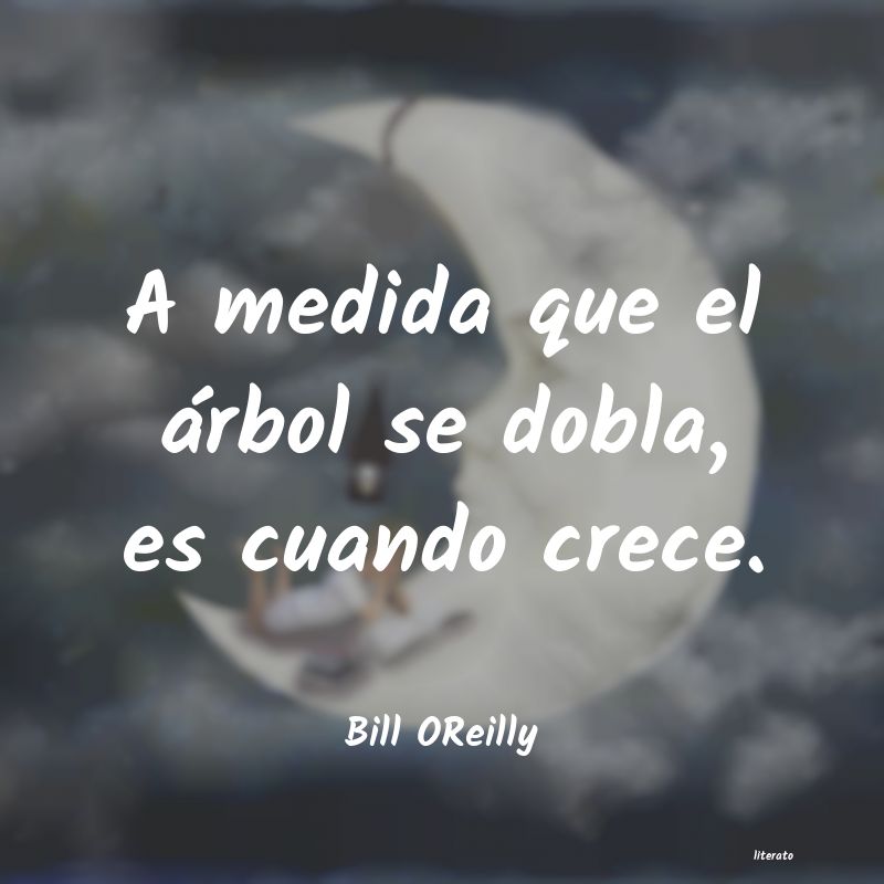 Frases de Bill OReilly