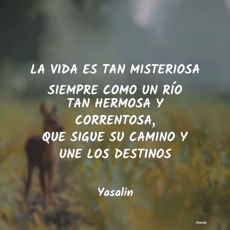 Frases de Yasalin