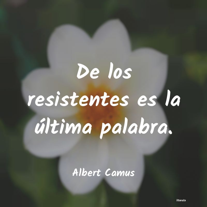 Frases de Albert Camus