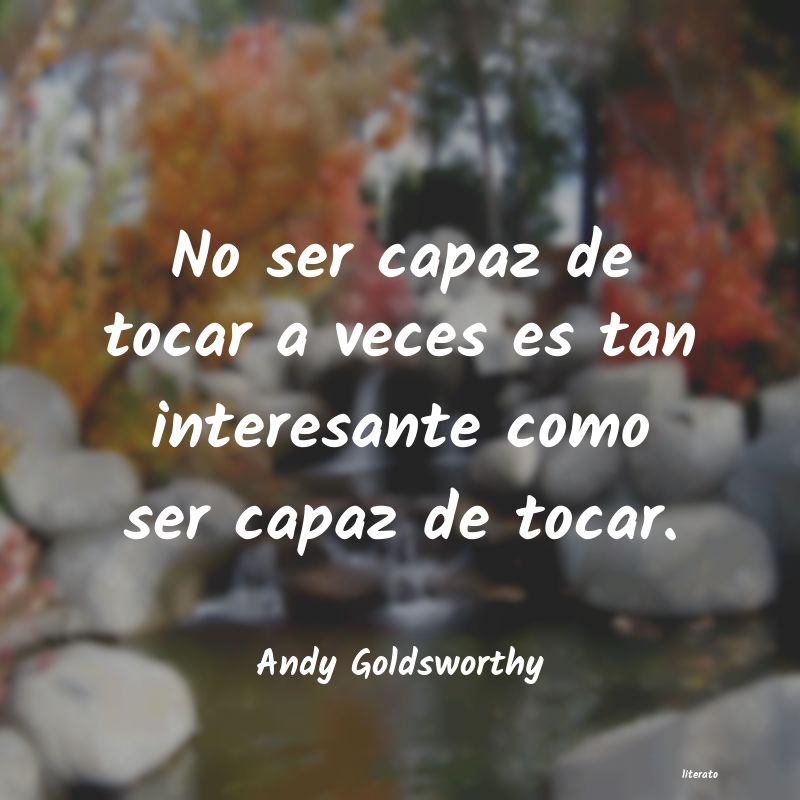 Frases de Andy Goldsworthy