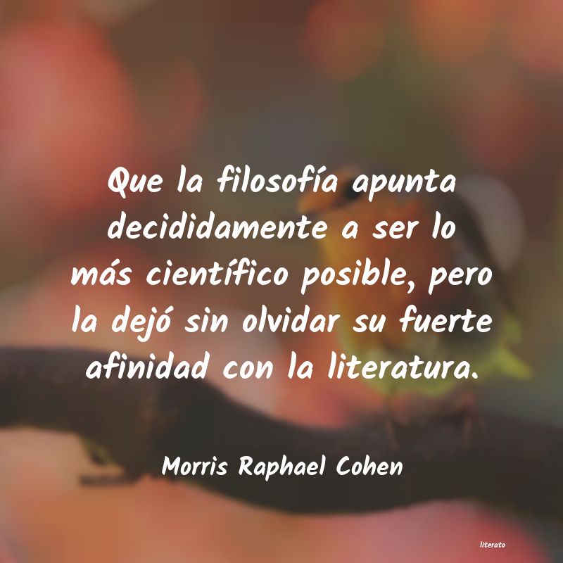 Frases de Morris Raphael Cohen