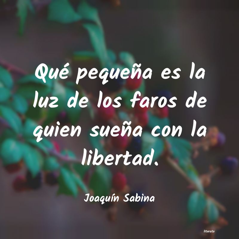 Frases de Joaquín Sabina